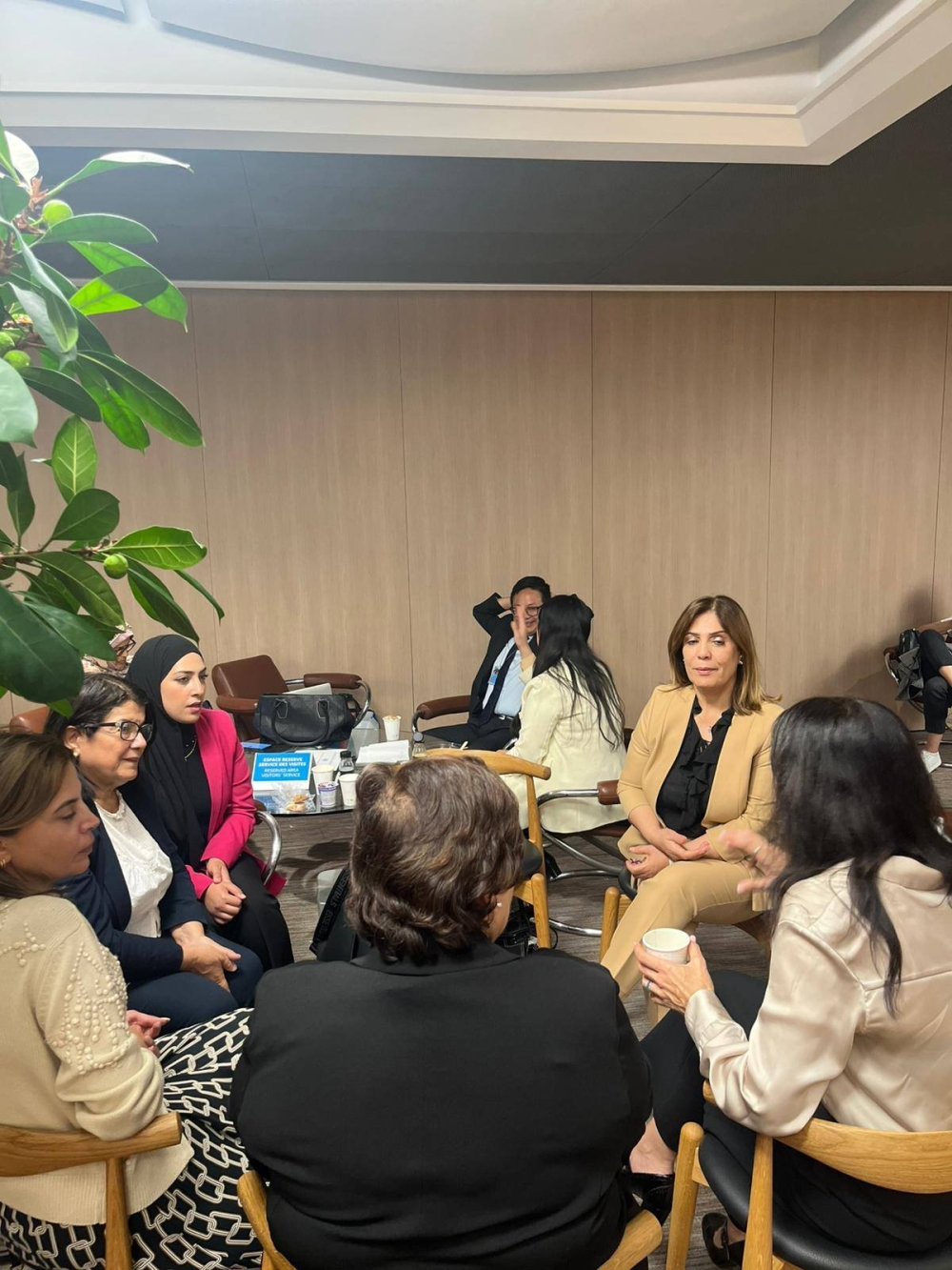 لقاء تشاوري بين وزارة شؤون المرأة والمجتمع المدني وهيئة الأمم المتحدة للمرأة في جنيف